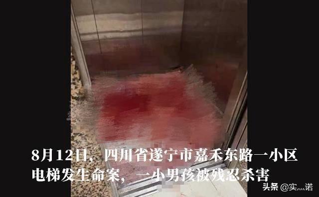 你怎么看四川八岁男童电梯内被砍身亡,杀人者又是精神病人？