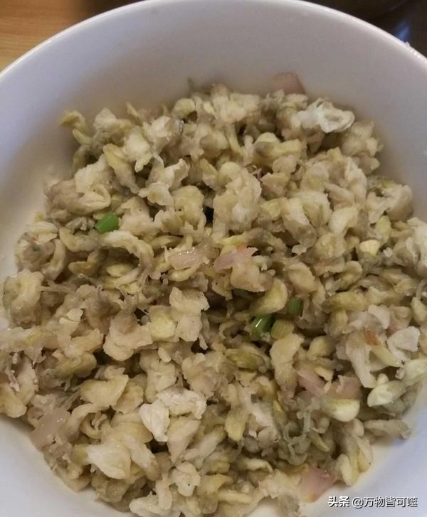 洋槐:洋槐树 过去的人们为什么爱采食洋槐花？你吃过洋槐花吗？