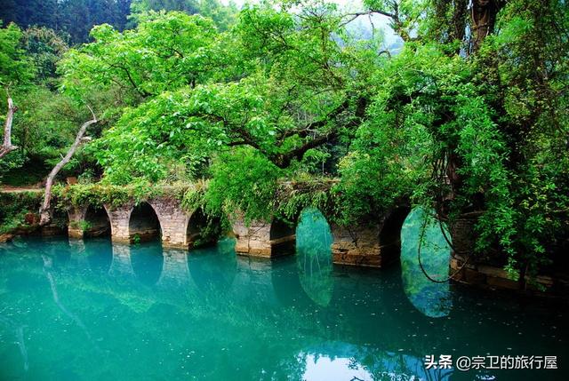 河北南宫天龙藏獒园:河北金泰藏獒园 暑假去国内旅游，哪些地方的气温不高适合户外活动？