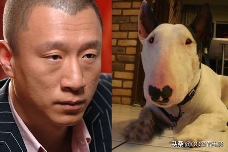 征服孙红雷:如何评价孙红雷在电视剧《征服》中的表现