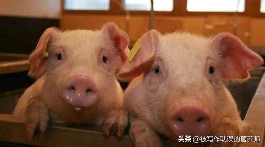 听说在猪肉发现了一种新病毒是真的吗
