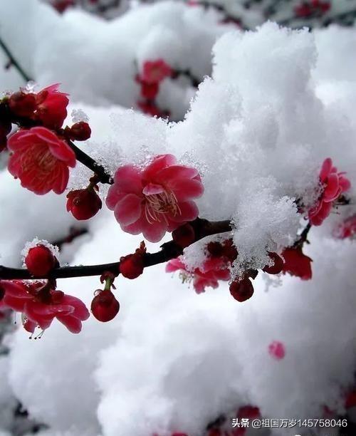 一眼看中的房子是有缘吗,你有没有看一眼就爱上的文物？