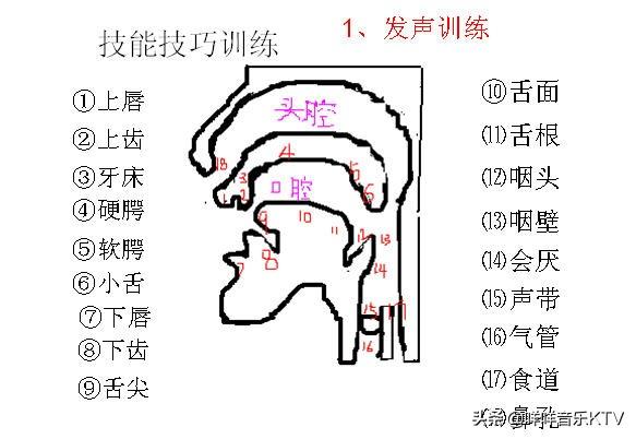 头条问答 