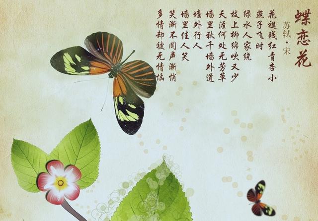 有谁知道蝶恋花,念奴娇,浣溪沙,卜算子,这些宋词都代表什么吗？