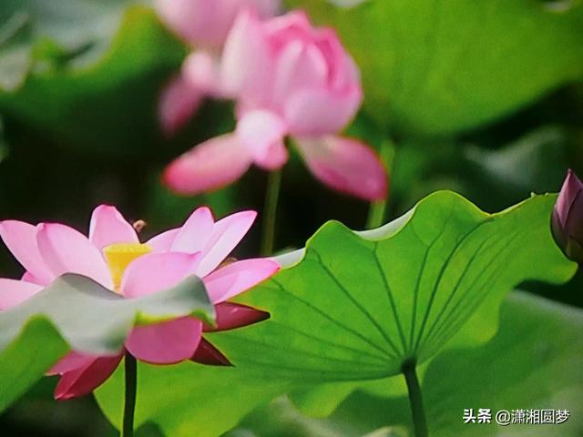 有哪些适合70、80后的男人看的小说？