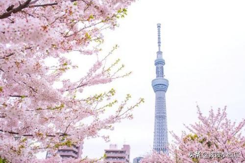 在日本旅游十万日元能花多久？