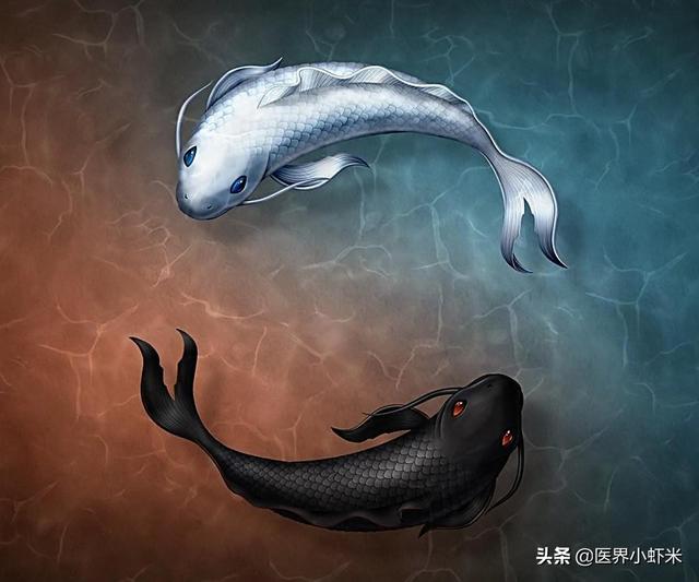 普通人（零基础）学习中医，该如何入门？