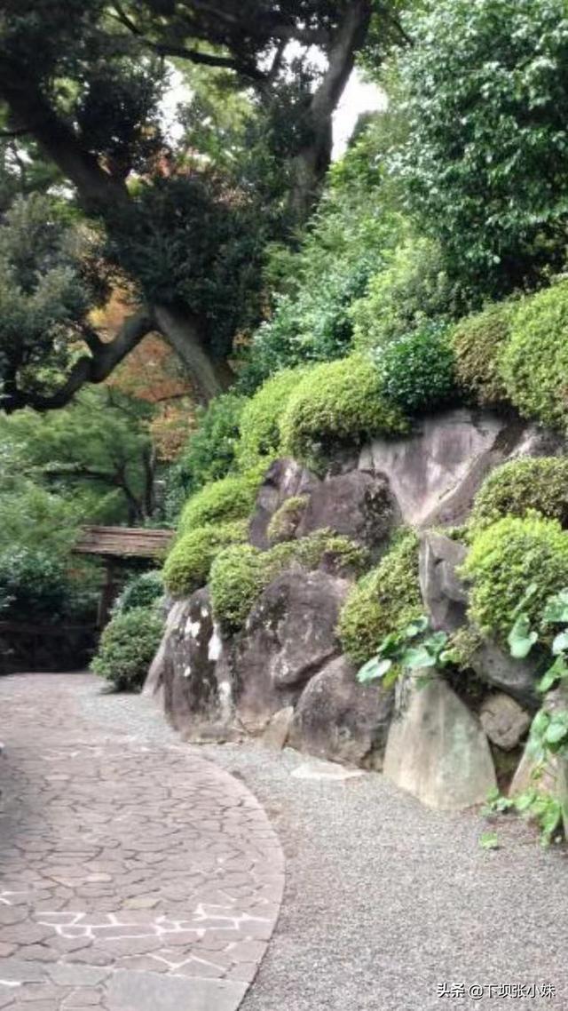 成都天宠网宠友聚会:妹妹在成都上大学，一个月2000生活费不够用，真的不够用吗？