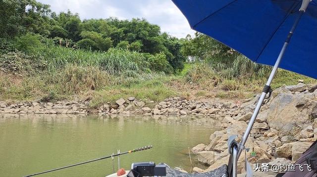 茅山铁头蛇:夜钓遇到过蛇吗？如遇到应该如何应对？