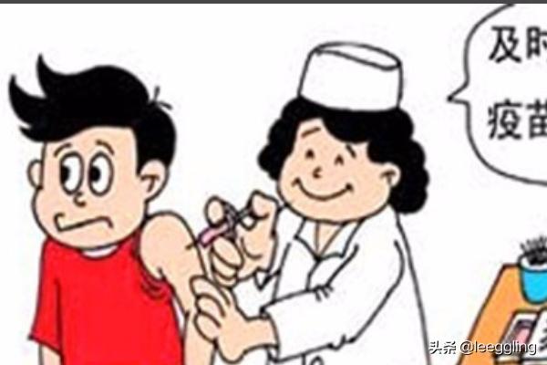北京宠物托运费用标准:坐飞机，如何托运宠物，比如托运狗狗猫咪？