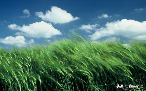 祖坟发十万人丁,为什么很多人晚上不敢去坟地？