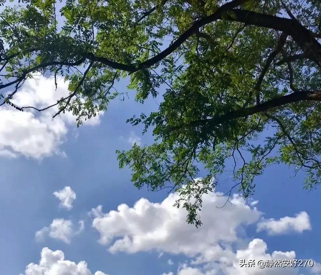 大家有没有喜欢的流行的古风歌,麻烦给我推荐几首吧？