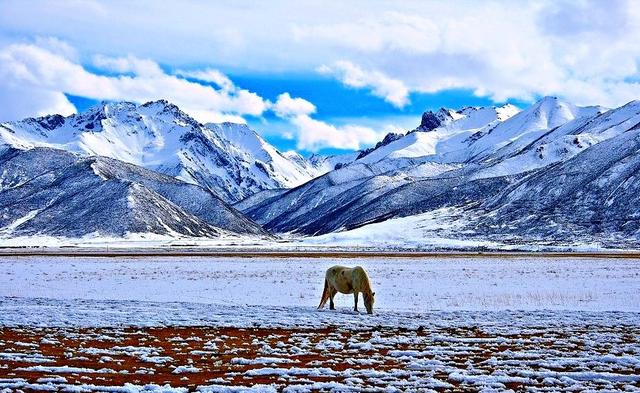 阳城人网站:想去旅游，有哪些好玩的地方啊？
