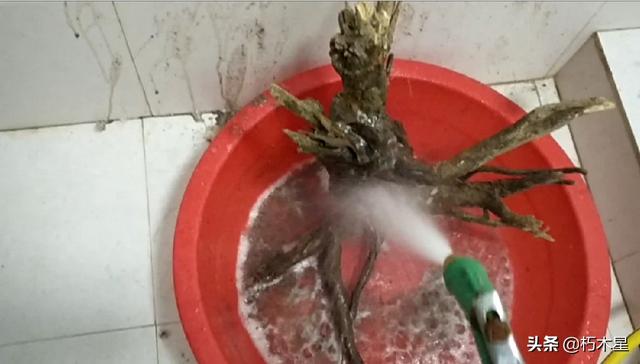 玉石雕刻培训去哪里学,想学习一门手艺该怎么找平台？