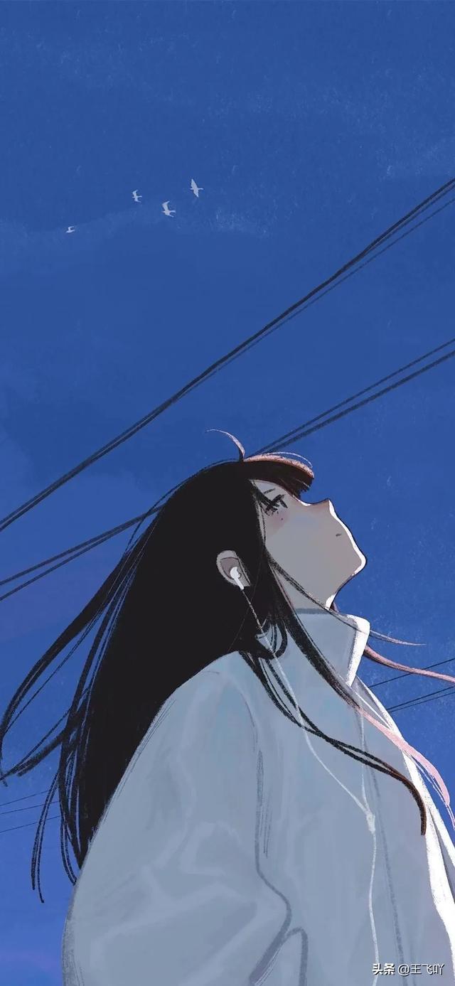 比较唯美的短句有哪些好的分享