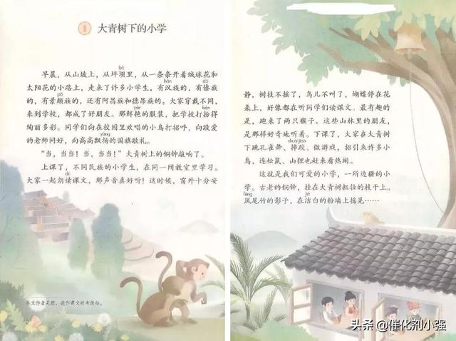 怎样看,都说多看课本，可是该怎么看呢？