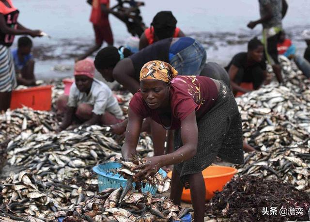 宁肯吃土也不愿意吃龙虾？，非洲海鲜多到泛滥，为什么当地人死活不愿意吃？