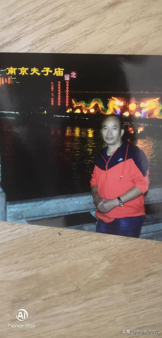 羊驼与野草的故事:“王与马，共天下”这句话是怎么来的呢？