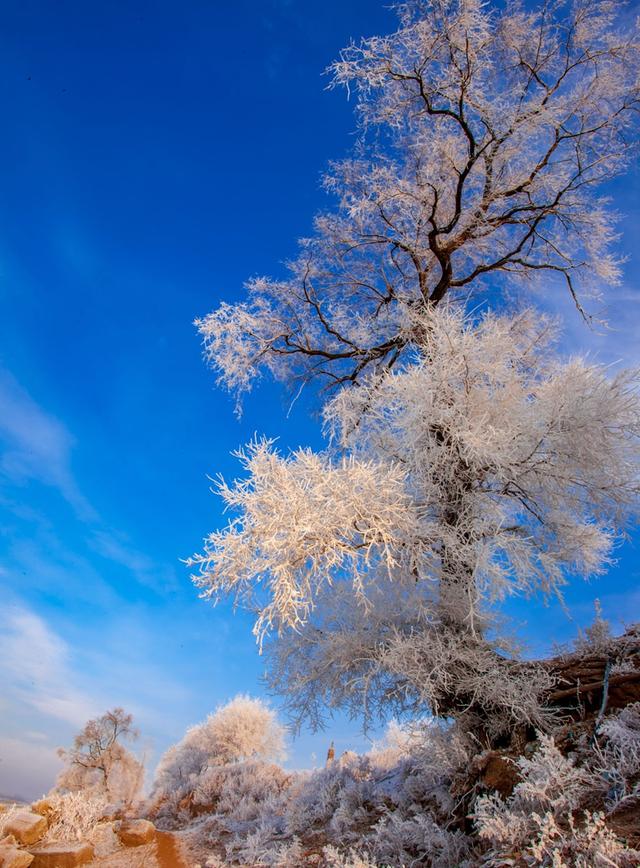 中国十大罕见自然奇观，中国十大世界级绝世美景，你去过几个