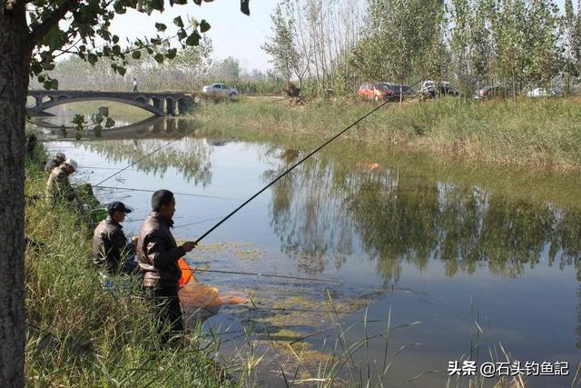 小鱼吃吃吃:孩子把一只活的小鱼喝肚子里了，该怎么办？