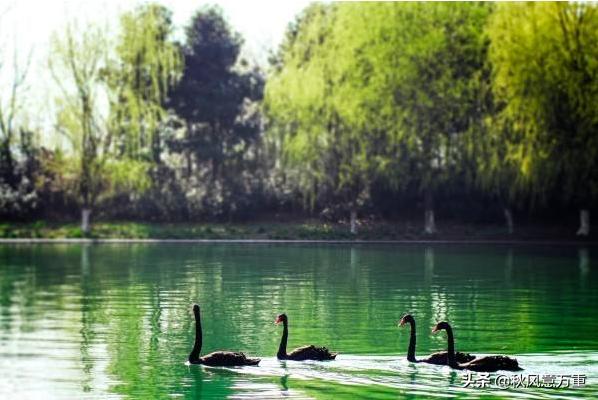 合肥浪漫心形公路:你遇到过最浪漫的事是什么？