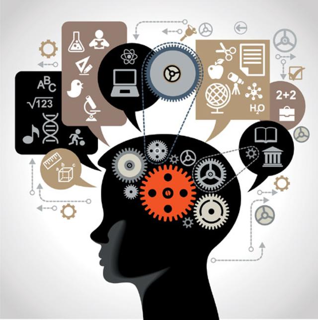 宠物的秘密生活在线:可不可以和狗狗一起睡觉？有什么坏处？ 宠物的秘密生活第一季