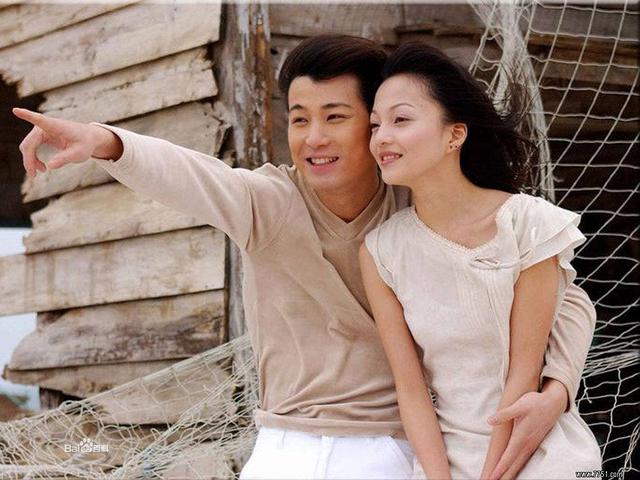 许绍洋电视剧:有哪些抱错孩子，有身世之谜的电视剧？