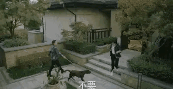 哦放上珠海宠物网度稳爱狗人士:中国真的那么多爱狗人士吗？