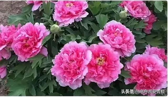 四线小城市摆摊卖什么好？