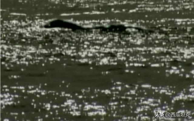 黑龙潭水怪真的存在吗，喀纳斯湖中怪物到底是什么