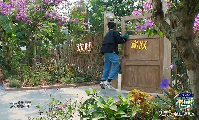 跑男华晨宇为什么哭:《王牌对王牌》中张歆艺说华晨宇之前想跳楼，你怎么看？