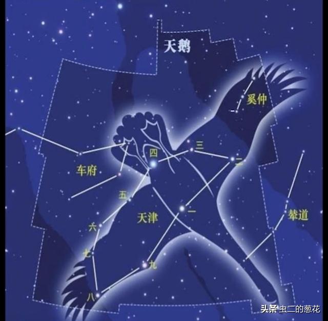 天鹅座发来信息:四川天文台收到天鹅座万年前来信，这是发现了外星人吗？
