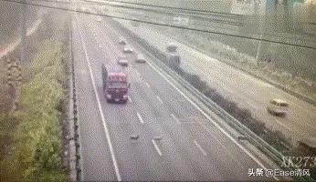 头条问答 昨晚开车不小心撞到一只猫怎么办 10个回答