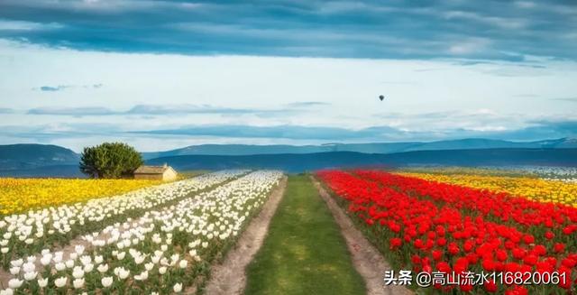 德国荷兰再聚首:一战时德国是有王室的，后来他们去哪了