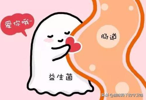 2个月小狗拉稀:我家养的哈士奇快两个月了，这几天有点拉稀喂什么药？