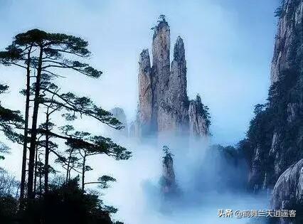 陈延年简介:陈式太极拳至今经历了哪些传人？就贡献来讲，哪位的贡献最大？
