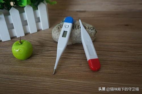 狗感冒了吃什么药药店买得到的:泰迪犬感冒吃什么药好的快？