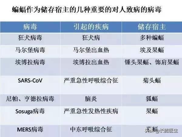 土拔鼠可以吃吗:等全国战胜这次疫情了，你是否支持立法禁吃野生动物？