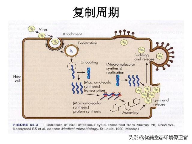 区域链狗狗社区:百度区块链宠物狗，打的究竟是什么算盘？