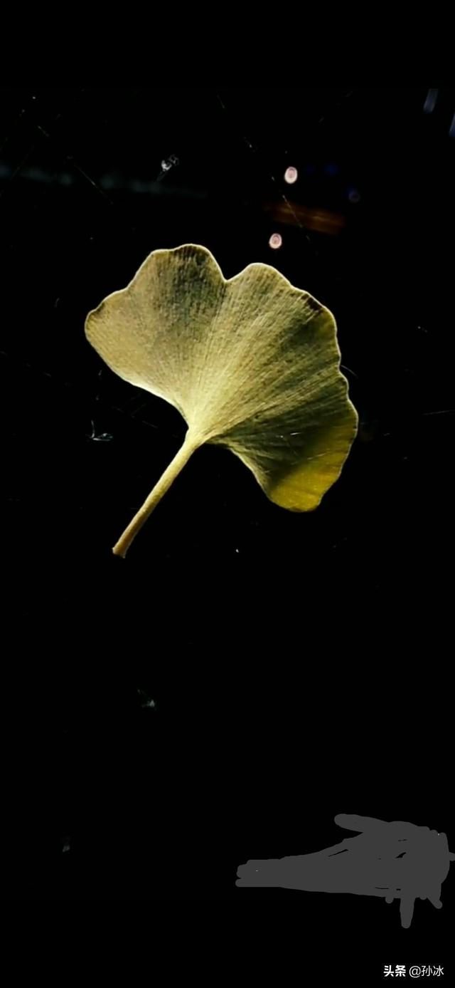 高反差,高对比的摄影作品是怎样拍摄出来的?请举例说明?-生活百科