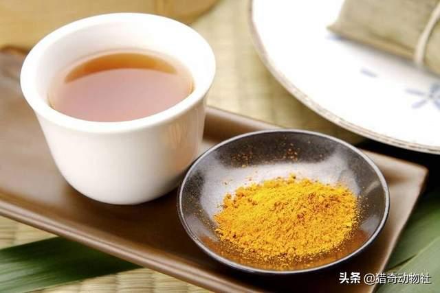 黑眉锦蛇:黑眉锦蛇有毒吗 家里频繁出现蛇，能不能打死，遇到了怎么办？