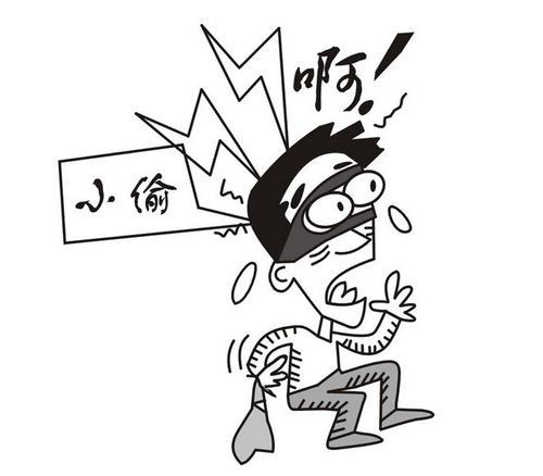 小偷从飘窗上失足摔死了小偷家属以飘窗上没设防护栏为由要求房主赔偿