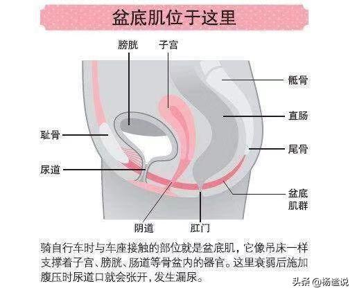 班长小月憋尿仰卧起坐:自从生完孩子后总感觉自己会漏尿，这正常吗？