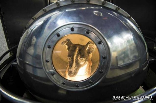 莱卡犬:64年前，苏联将一只3岁的小狗送入太空，是真的吗如今现状如何