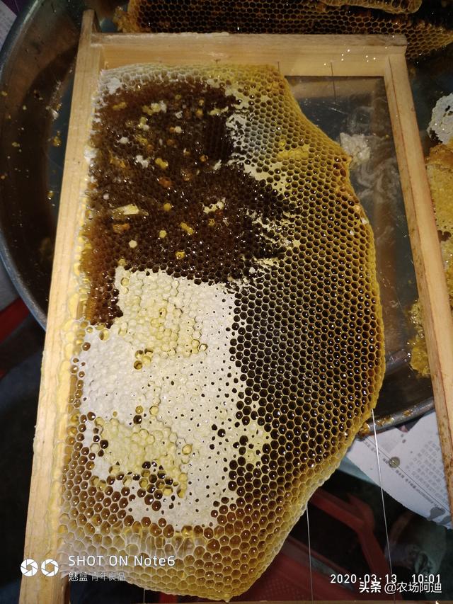 明园蜂蜜质量可靠吗，淘宝上的蜂蜜是真的吗能买吗