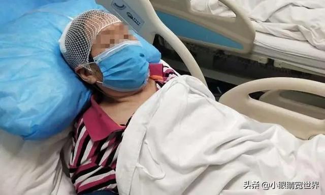 泰州宠物疾病发生调查报告:现在小区好多宠物猫狗，它们感染了怎么弄，又不测体温？