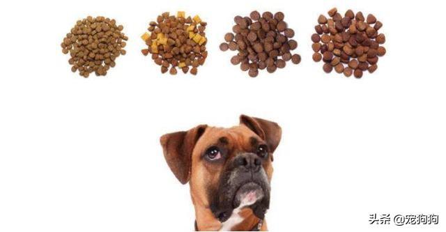 雷米高狗粮怎么样狗狗喜欢吗:狗狗吃什么狗粮最好？如何分辨狗粮的好坏？