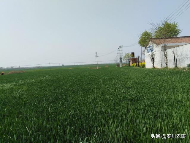 如果有五十万，你会选择县城买房？还是农村盖房？插图21