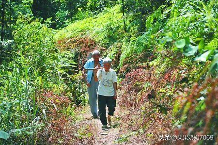 百岁老人壮阳秘诀，人怎么样才能活到100岁