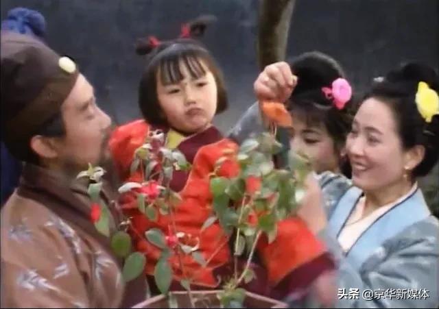 逛街认出被拐儿子:为什么《红楼梦》中开头要写甄士隐女儿被拐的事